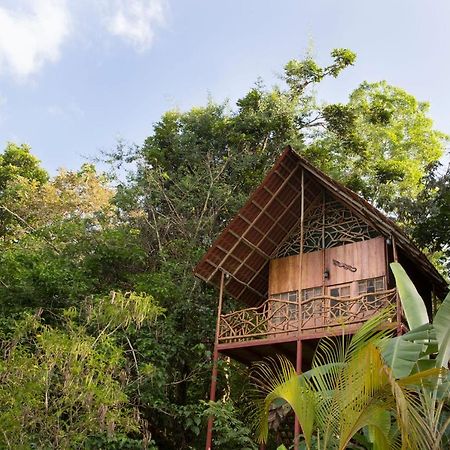 Bio Thermales Hot Springs Villa Palmera Exterior photo