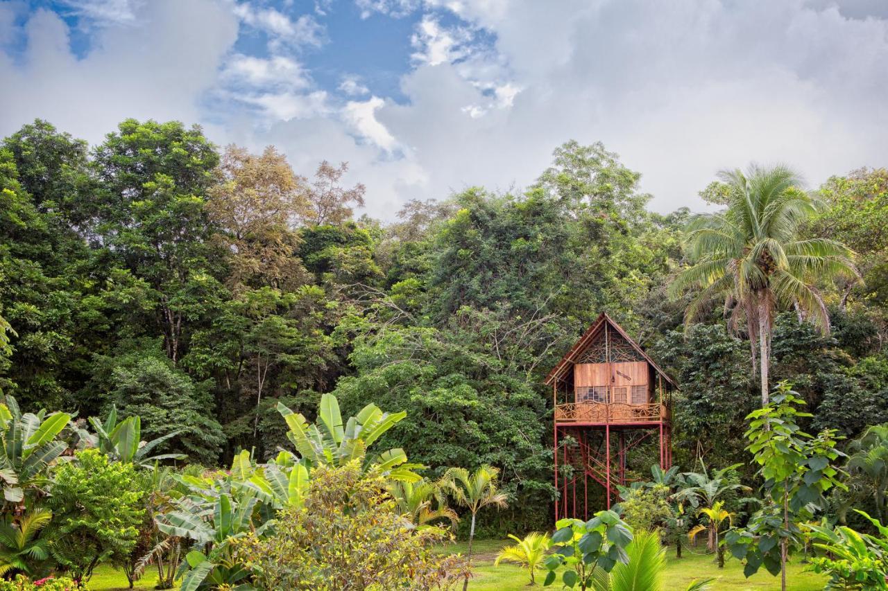 Bio Thermales Hot Springs Villa Palmera Exterior photo