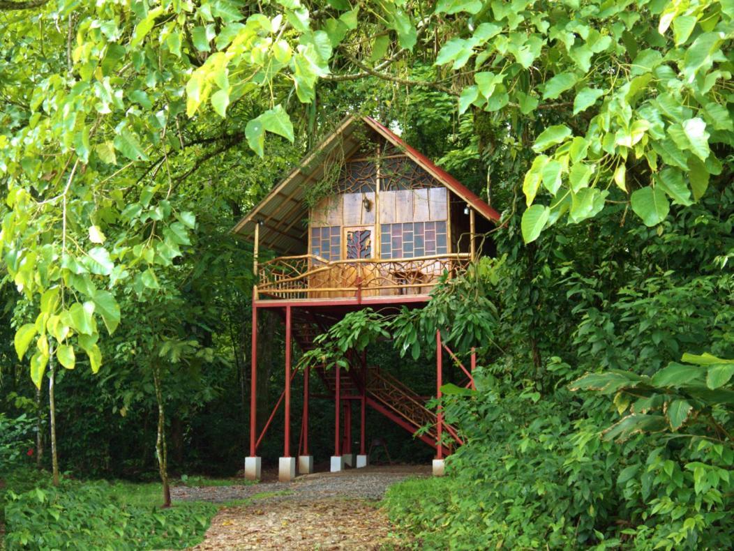 Bio Thermales Hot Springs Villa Palmera Exterior photo